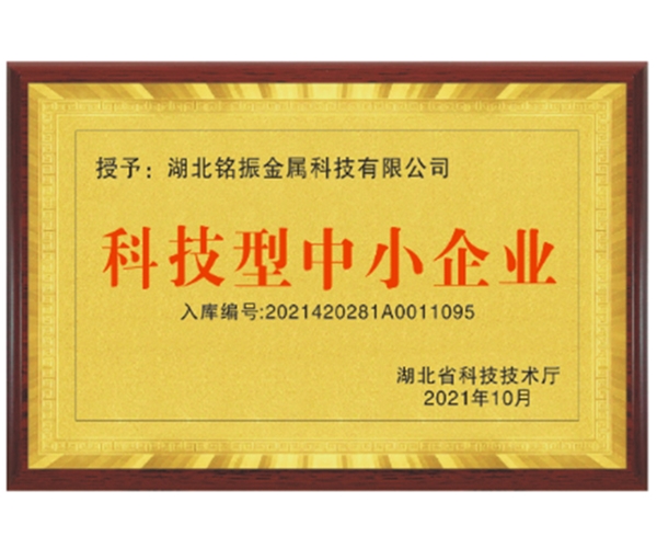 科技型中小企业